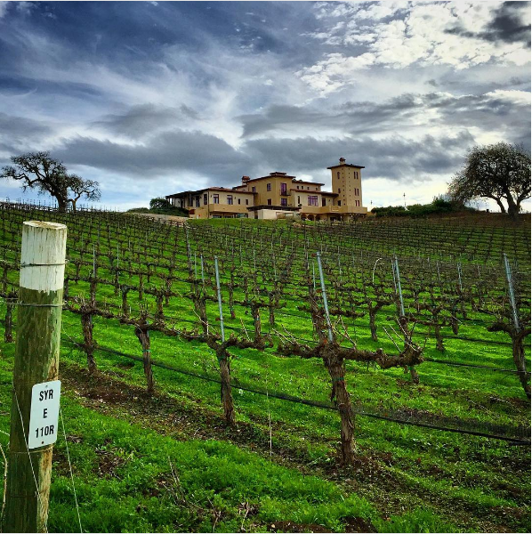 Stolpman Vineyards